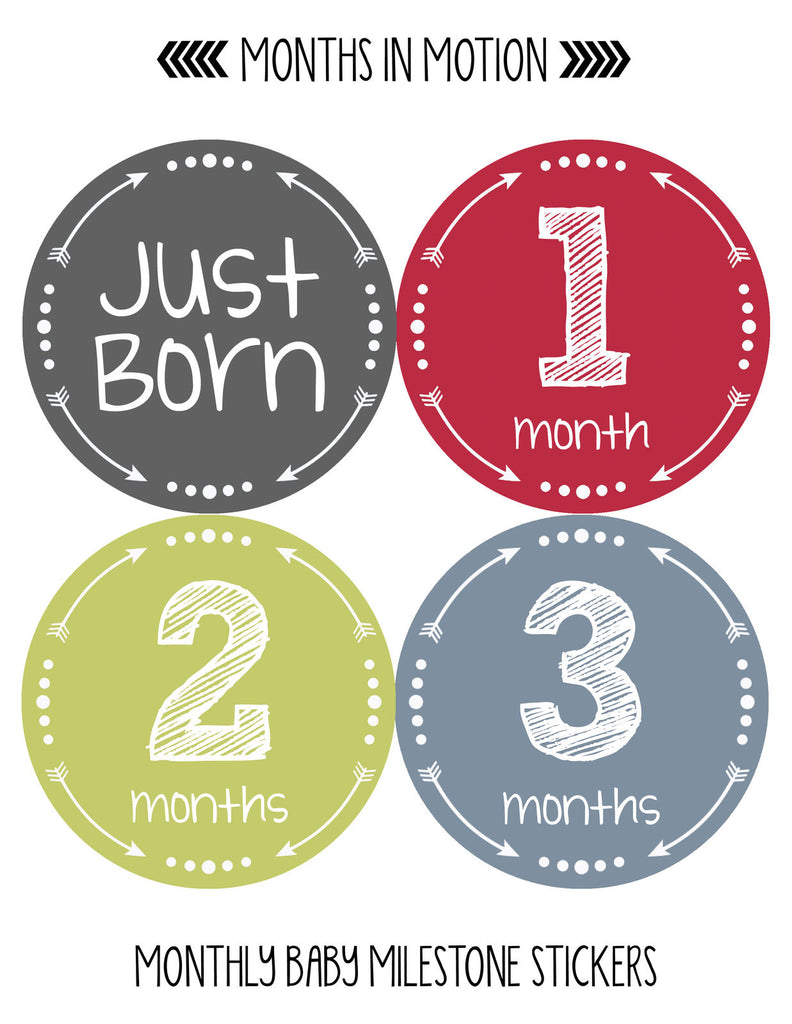 Baby Monthly Milestone Stickers - First Year Set of Baby Girl Month  Stickers for Photo Keepsakes - Shower Gift - Set of 20