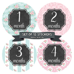 Monthly Baby Stickers 12 Month Milestone Sticker for Newborn Babies Girl - Monthly Baby Sticker