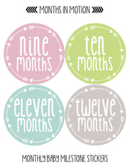 MONTHS IN MOTION Monthly Newborn Baby GIRLS Milestone Photo Prop Stickers