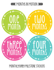 MONTHS IN MOTION Monthly Newborn Baby GIRL Milestone Photo Prop Stickers