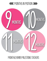 Baby Month Stickers | 12 Monthly Milestone Stickers for Girl (1033) - Monthly Baby Sticker