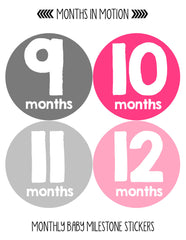 MONTHS IN MOTION Monthly Newborn Baby GIRL Milestone Photo Prop Stickers