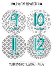 Months in Motion 044 Monthly Baby Stickers Baby Girl Milestone Age Month Sticker - Monthly Baby Sticker