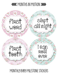 MONTHS IN MOTION Monthly Newborn Baby GIRL Milestone Stickers DELUXE SET