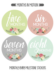 MONTHS IN MOTION Monthly Newborn Baby GIRL Milestone Stickers DELUXE SET