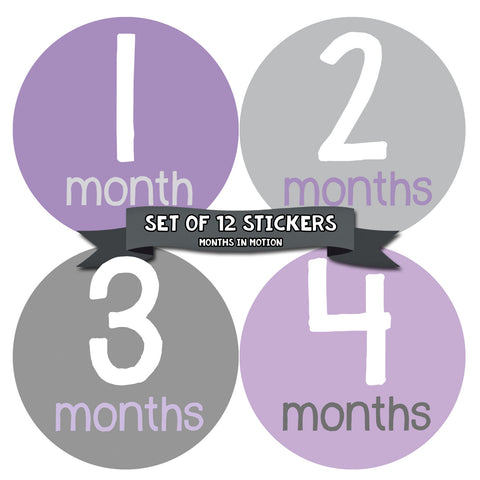 Months in Motion 157 Monthly Baby Stickers Milestone Age Sticker Girl Photo Prop