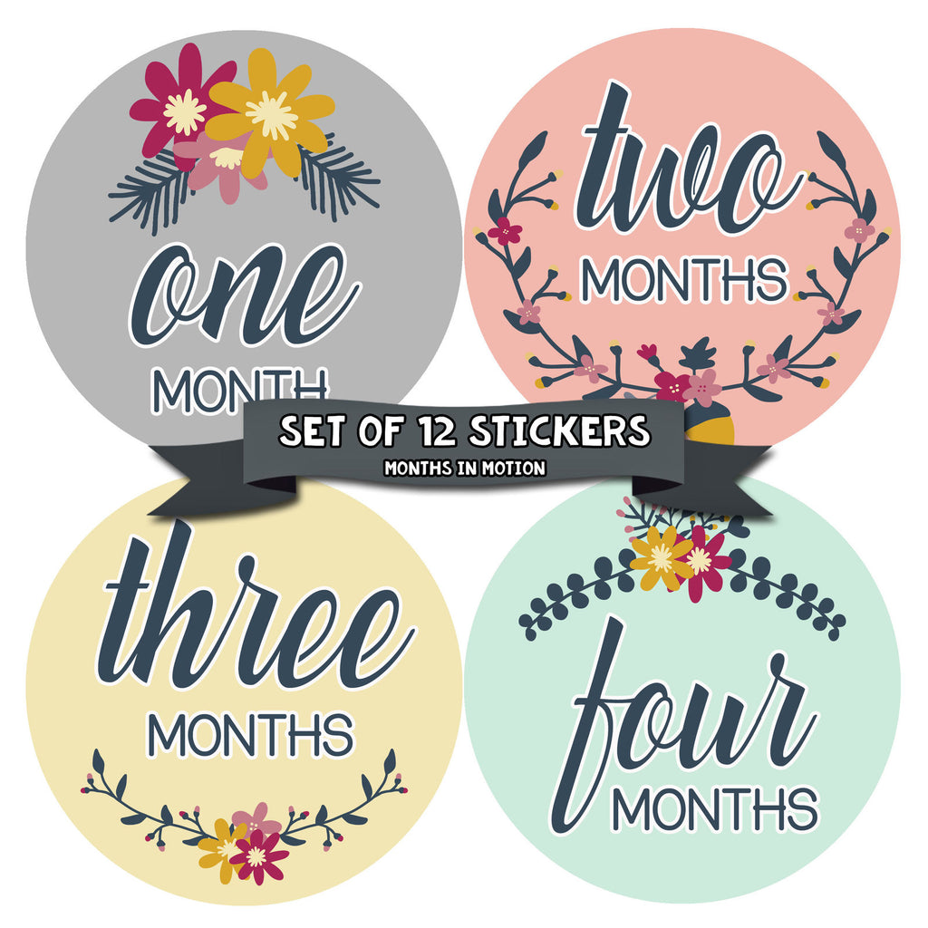 MONTHS IN MOTION Monthly Baby Stickers Newborn Infant GIRL Milestone Photo Prop - Monthly Baby Sticker