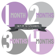 Months in Motion 296 Baby Month Stickers Baby Girl Months 1-12 Purple Grey - Monthly Baby Sticker