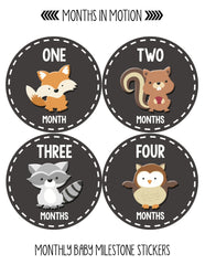 MONTHS IN MOTION Monthly Baby Stickers Infant UNISEX Month Milestone Photo Prop - Monthly Baby Sticker