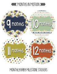 Months in Motion 404 Monthly Baby Stickers Girl Monthly Photo Milestone Month - Monthly Baby Sticker