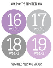 Months In Motion Pregnancy Week By Week Belly Stickers Set of 36 Photo Sticker