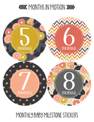 Months in Motion 385 Monthly Baby Stickers Baby Girl Milestone Sticker - Monthly Baby Sticker