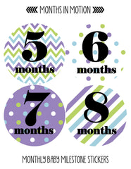 Months in Motion 090 Monthly Baby Stickers Baby Girl Month 1-12 Milestone Age - Monthly Baby Sticker