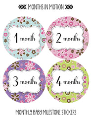 MONTHS IN MOTION Monthly Newborn Baby GIRL Milestone Stickers Photo Prop