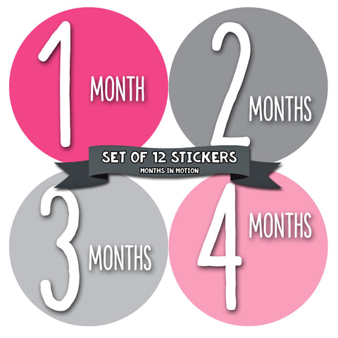 Baby Month Stickers | 12 Monthly Milestone Stickers for Girl (1033)